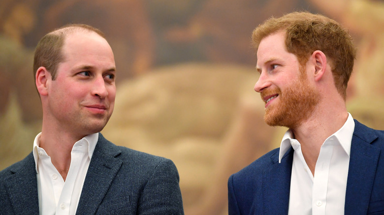 Prince Harry and Prince William regard each other