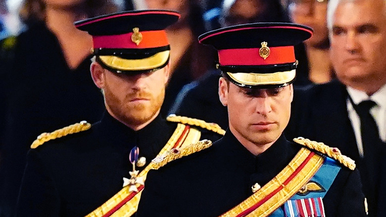 Prince William and Prince Harry looking down