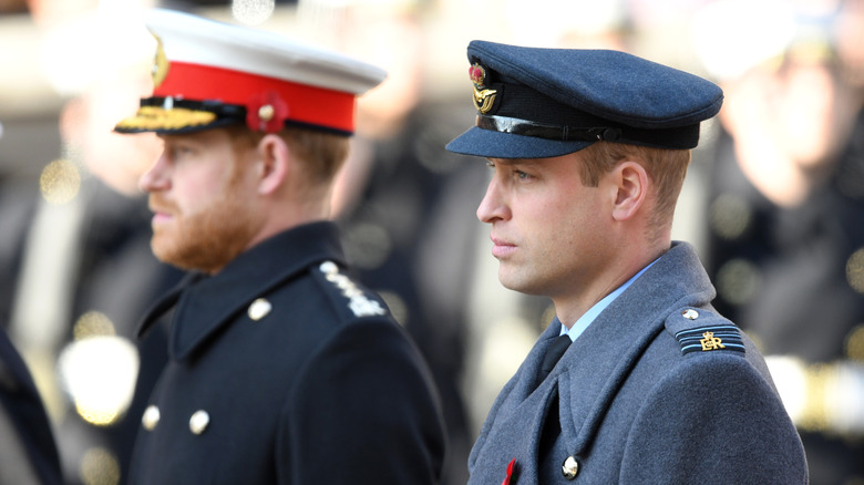 Princes Harry and William on Remembrance Day 