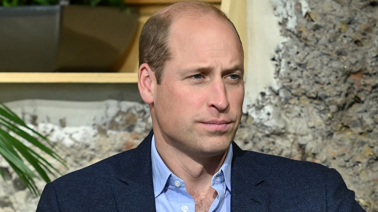 Prince William joining a discussion