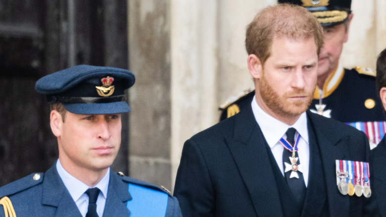 Prince William and Harry standing near each other