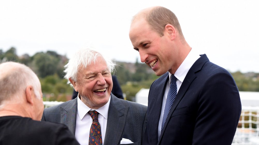 Prince William and Sir David Attenborough