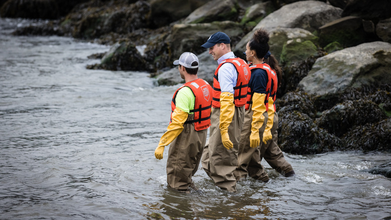 Prince William wading into the East River while visiting the Billion Oyster Project