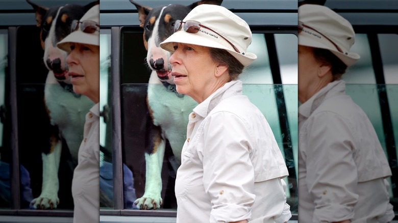 Princess Anne with dog out car window