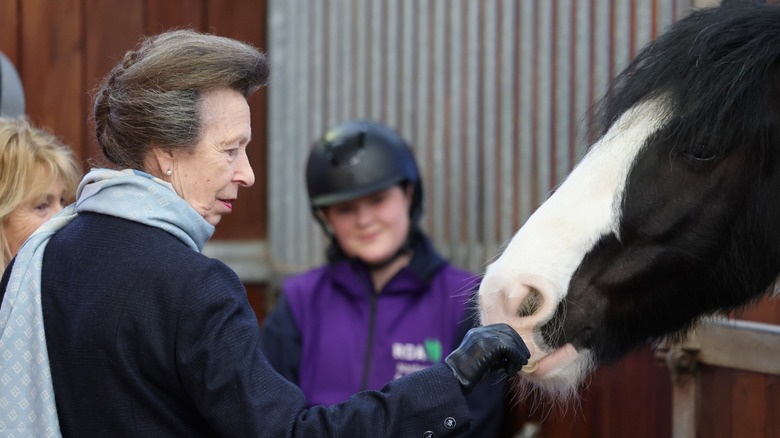 Princess Anne petting a horse