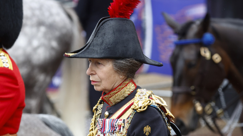 Princess Anne parade in military uniform