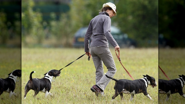 Princess Anne, with her dogs 