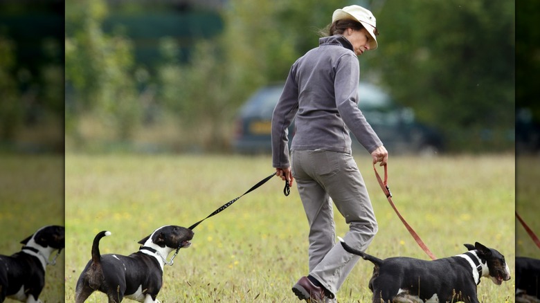 Princess Anne, with her dogs