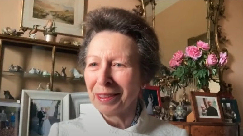 Princess Anne on Zoom 