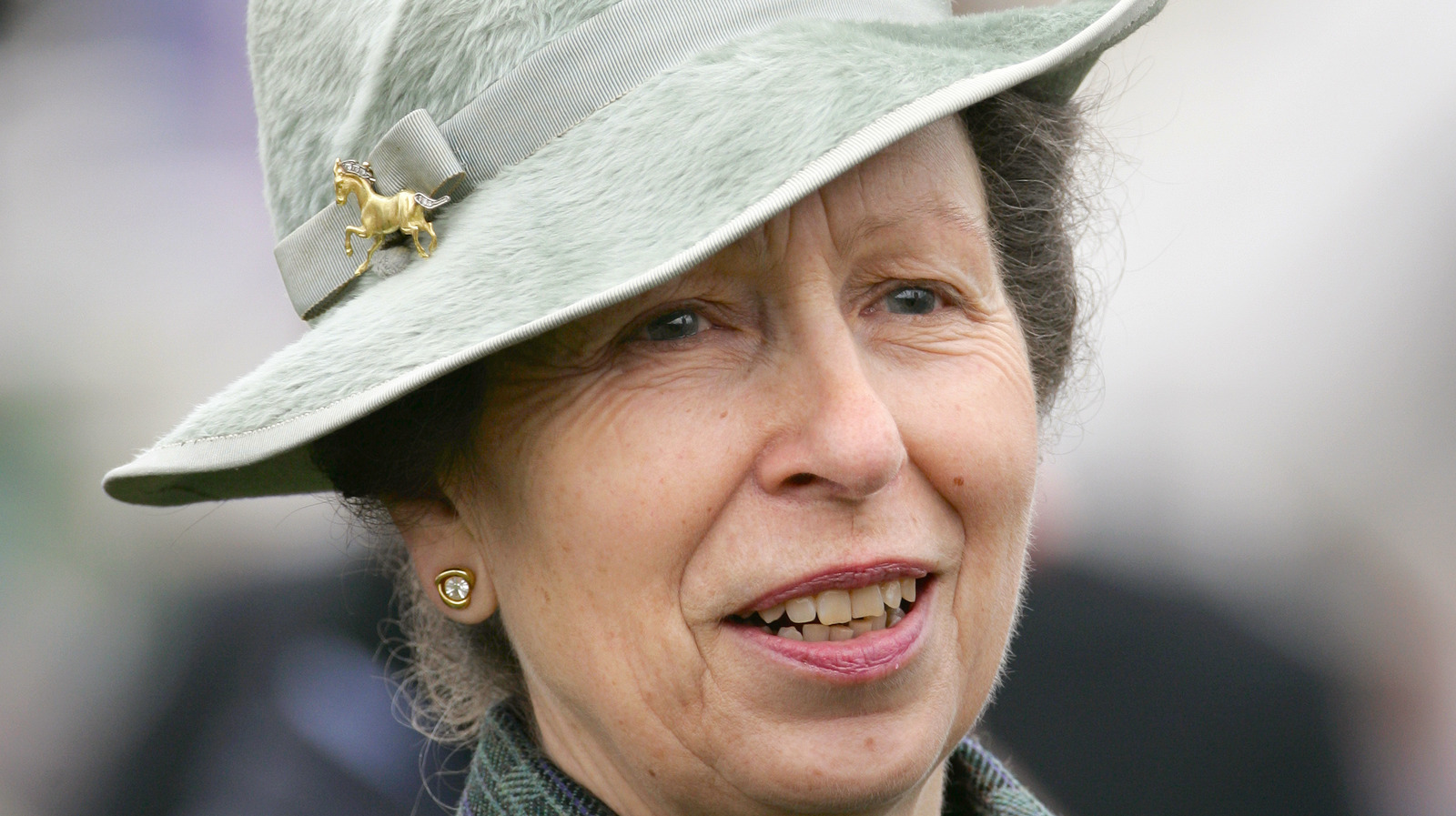 Princess Anne Once Again Comes Out On Top For Earning Royal Label