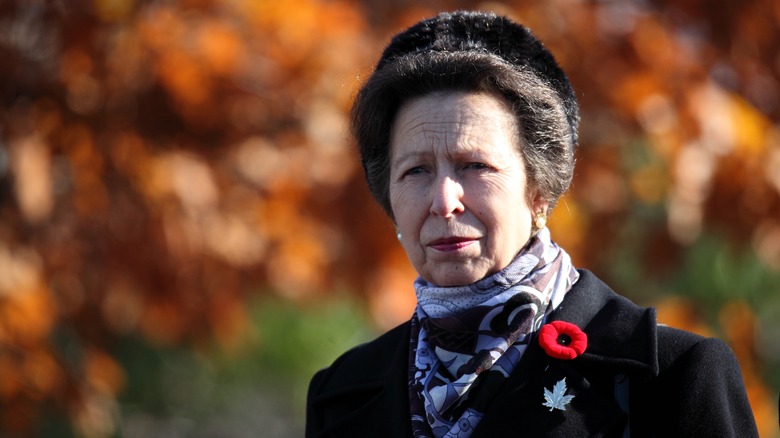 Princess Anne posing 