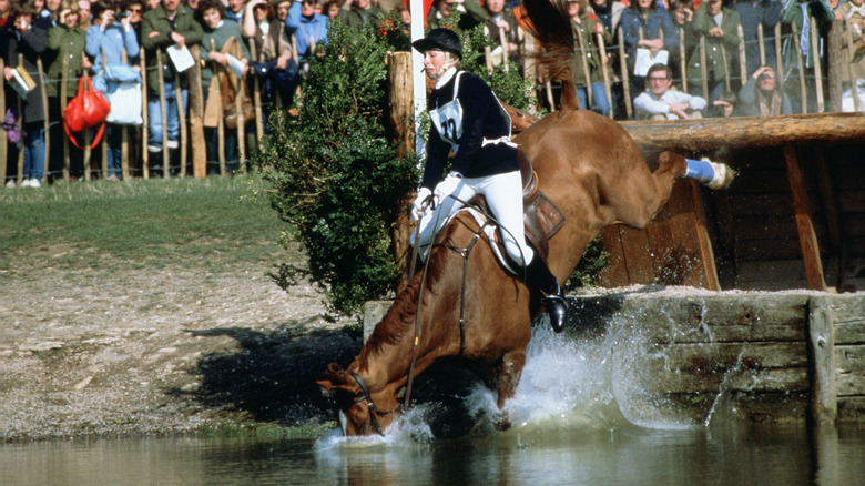 Princess Anne horseriding accident