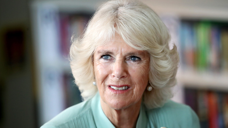 Picture of Camilla as Duchess of Cornwall