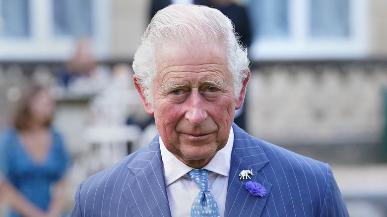 Prince Charles has a kind look on his face