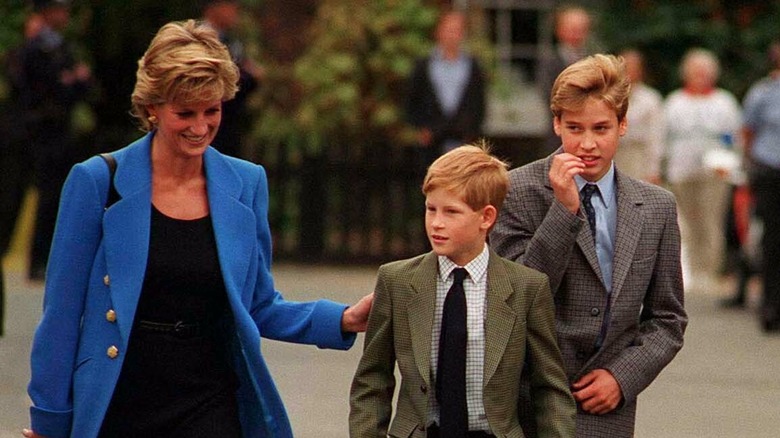 Princess Diana with Harry and William