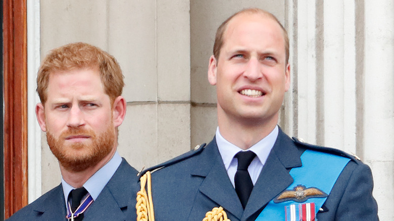 Prince Harry looks sideways at brother Prince William