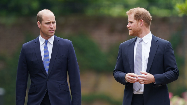 Prince Harry looks sideways at brother Prince William