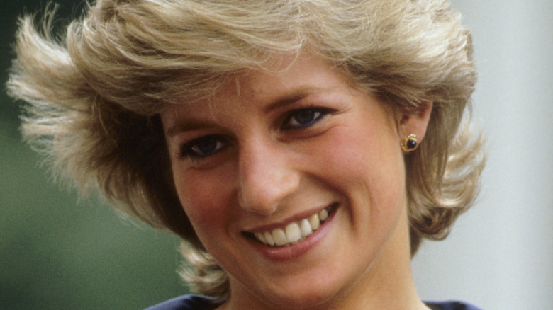 Princess Diana's Net Worth At The Time Of Her Death Might Surprise You