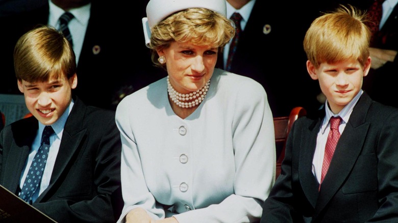 Diana with her sons in 1995 