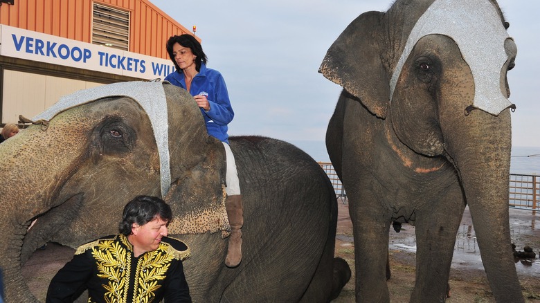 Princess Stephanie on elephant