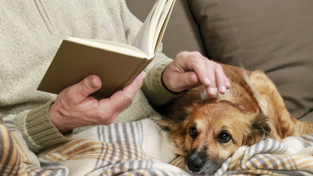 Reading and petting dog