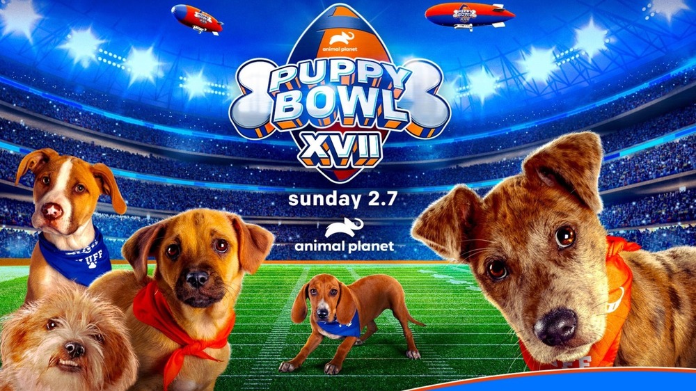 Puppy Bowl XVII logo