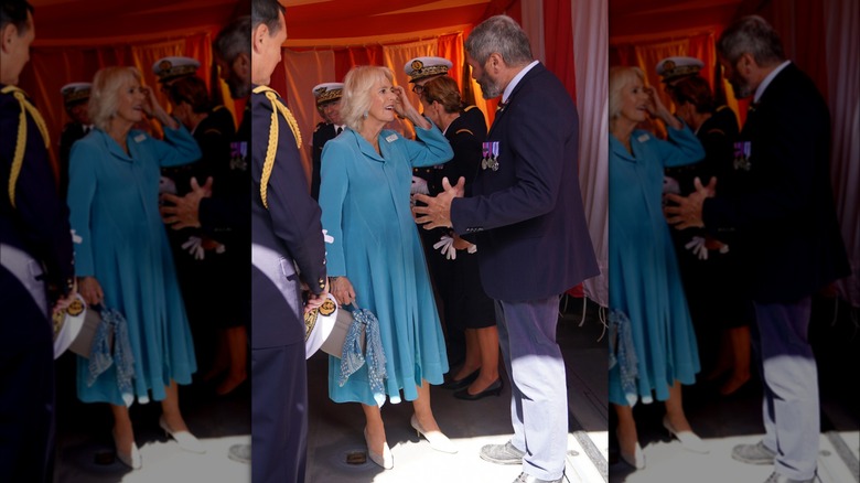 Camilla, Queen Consort, talking to someone at a party