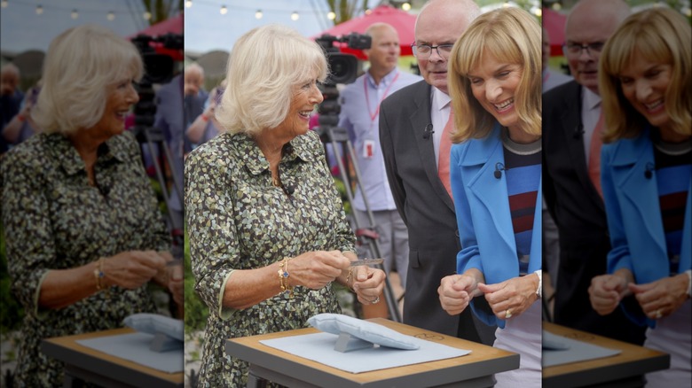 Camilla, Queen Consort, appearing on Antique's Roadshow