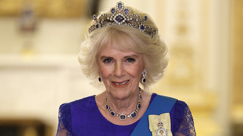 Camilla, Queen Consort attends the State Banquet in honour of President of South Africa, Cyril Ramaphosa