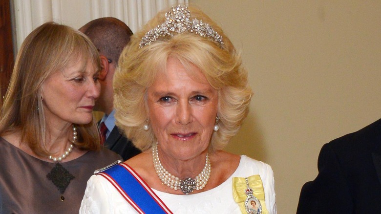 Camilla at Royal Arts event 