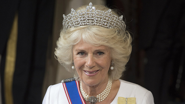 Camilla at parliament opening 