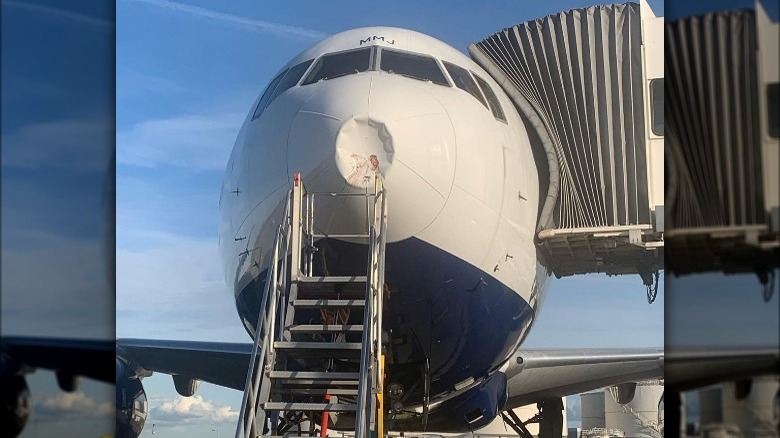 Instagram photo of Queen Camilla's plane that hit a bird trying to land at Heathrow airport