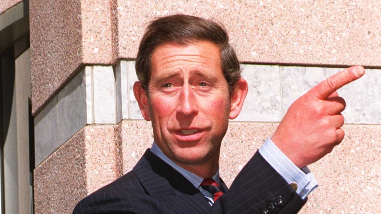 Prince Charles in 1994 