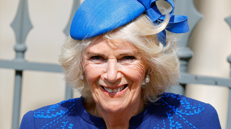 Queen Camilla's Relationship With The British Press And How She Turned ...