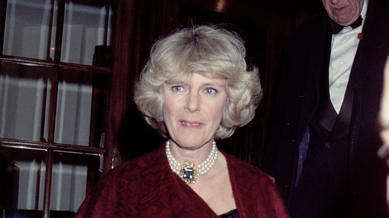 Camilla posing at an event in 1995 