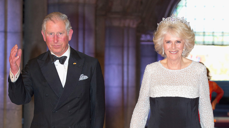 Charles and Camilla in 2013 