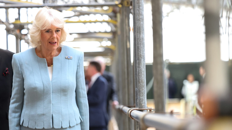 Queen Consort Camilla