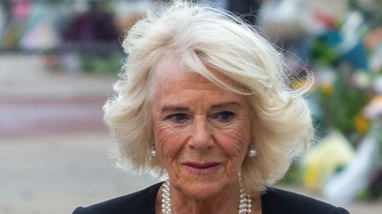 Queen Consort Camilla 