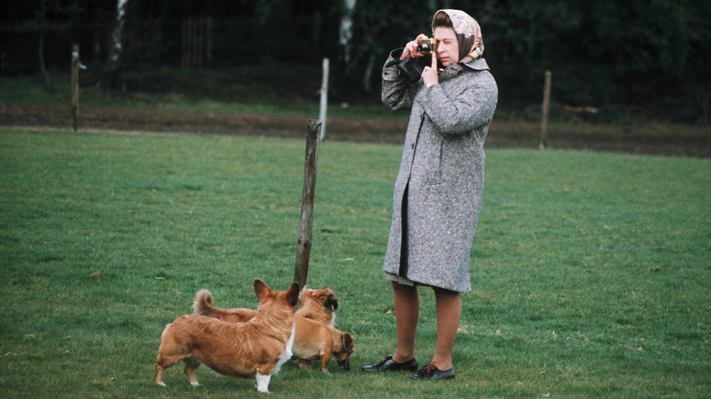 The queen with her corgis