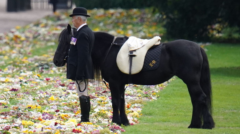 Black pony Emma queen funeral