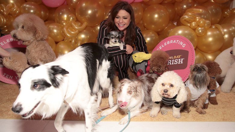 Rachael Ray posing with multiple dogs