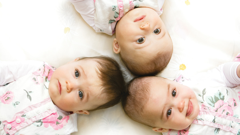 three babies triplets