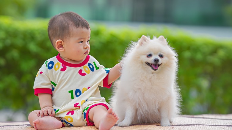 Baby boy petting dog