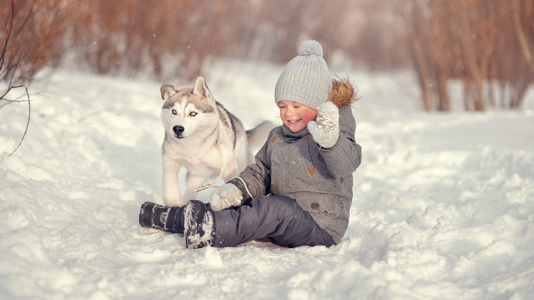 Baby boy with puppy