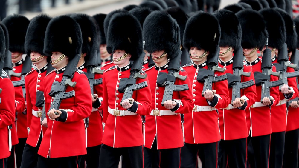 Royal soldiers in full attire