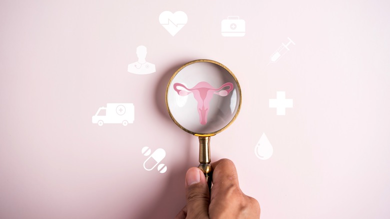 A magnifying glass examines an image of a uterus, with other medical icons around it like the numbers of a clock.