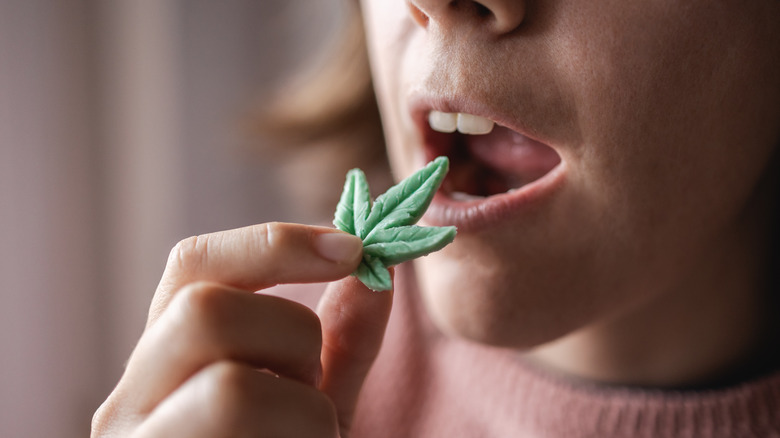 woman eating candy in the shape of a cannabis plant 