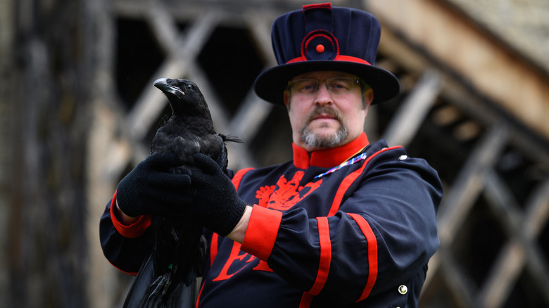 Christopher Skaife holding a raven at the Tower of London