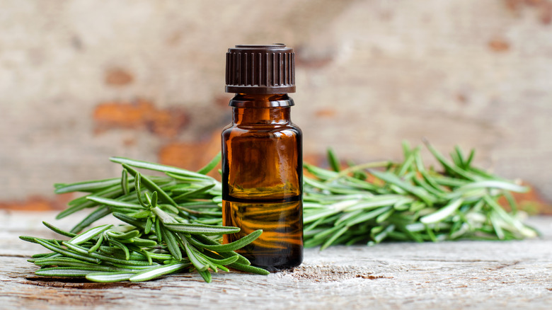 Rosemary oil by fresh rosemary