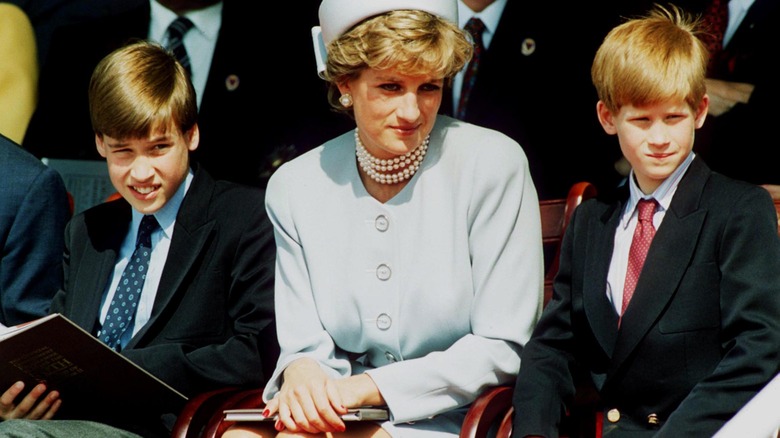 Prince Harry, William, and Princess Diana